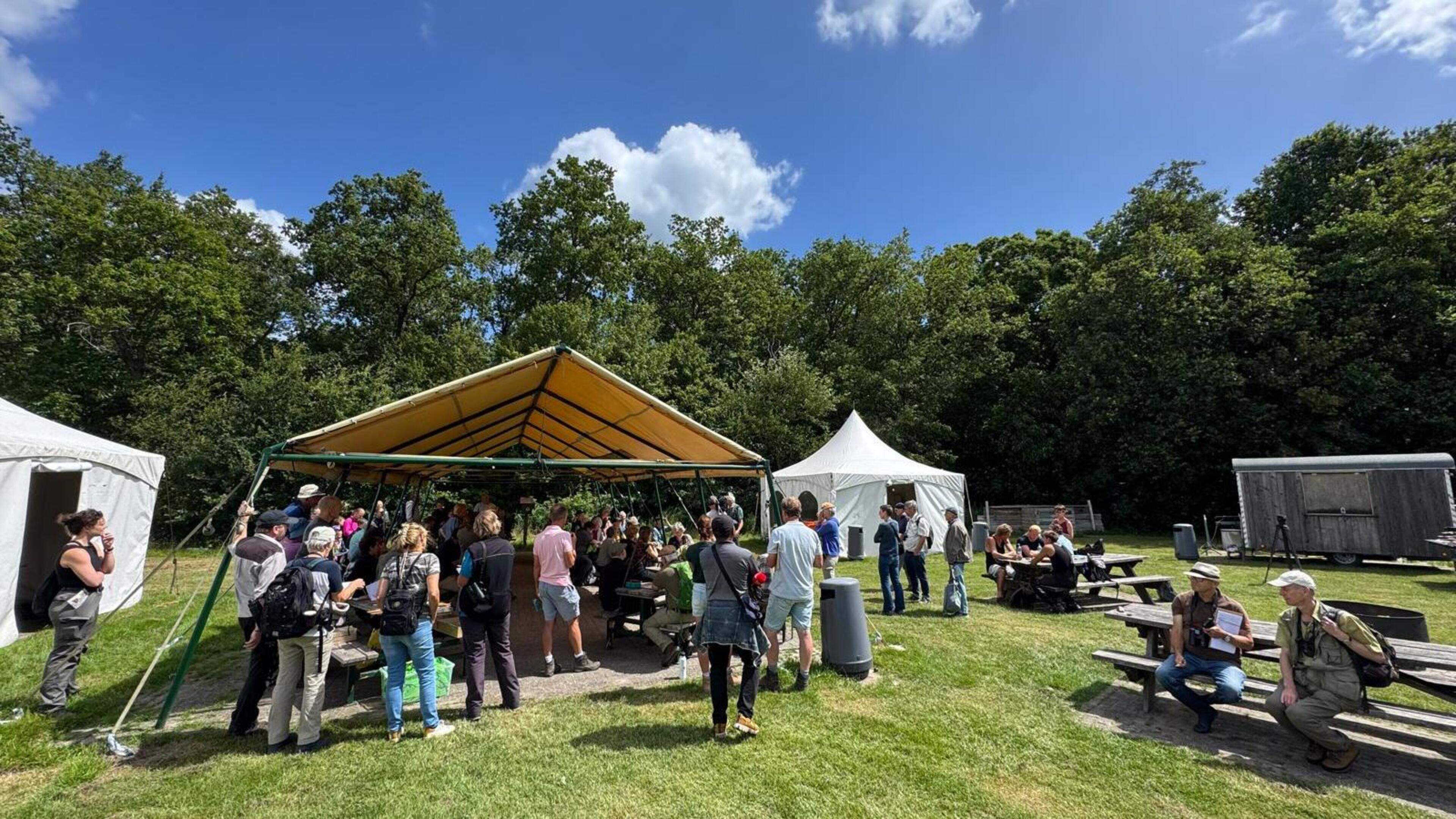 Veel vlinders geteld tijdens jubileumtelling in Kuinderbos