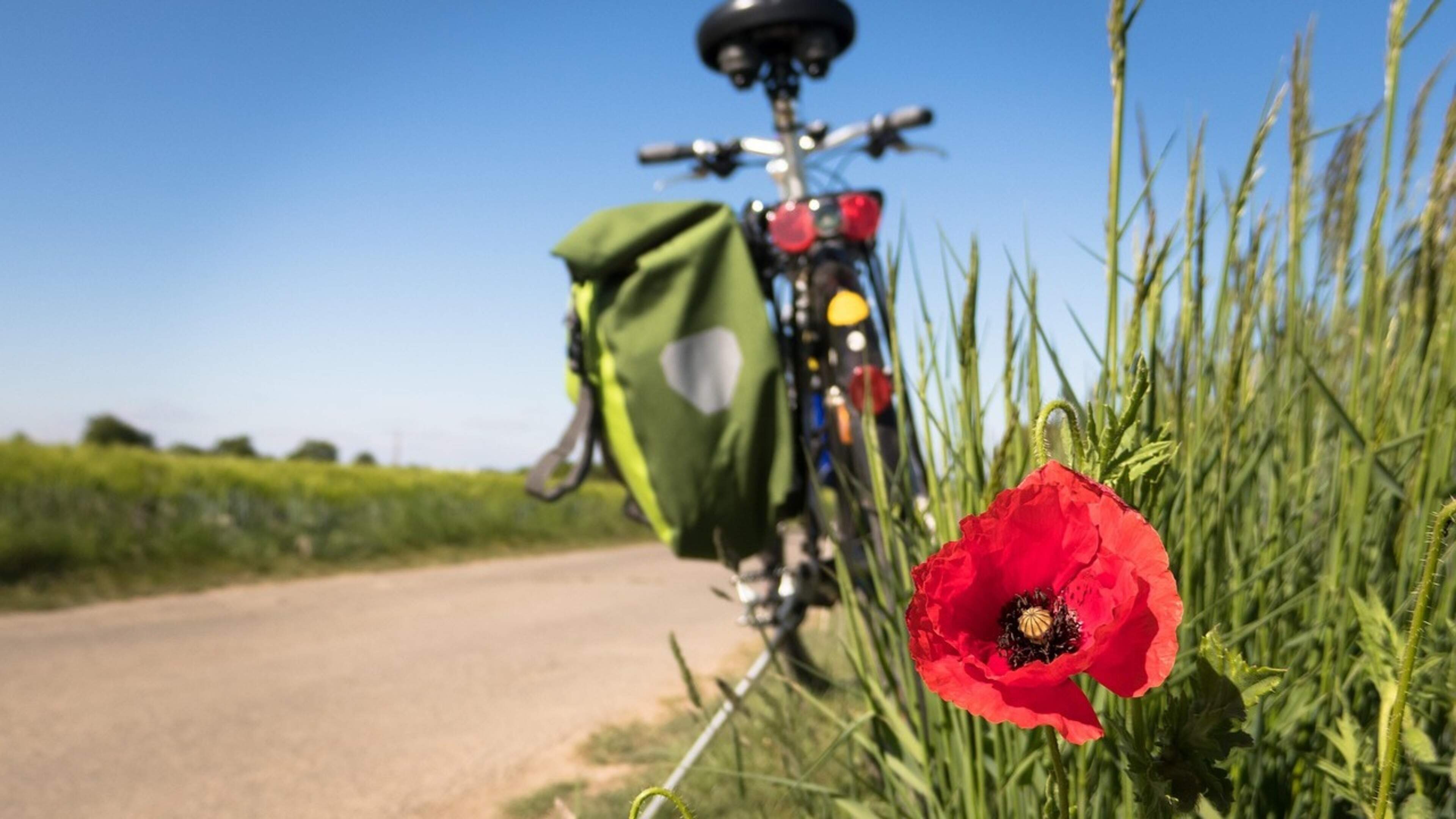 Gemeente wil samenwerking deelfietsnetwerk voortzetten
