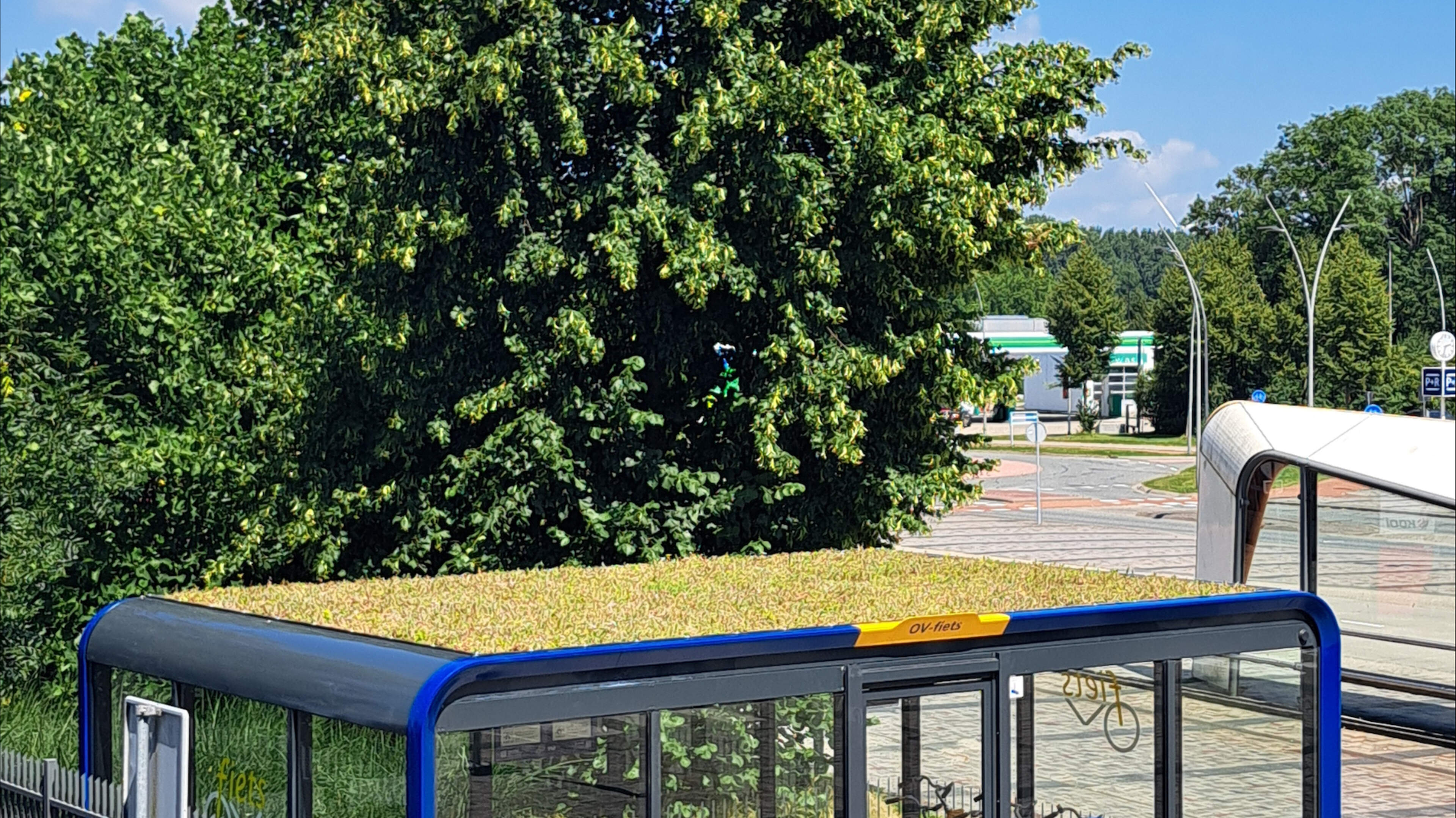 Eerste OV-fietspaviljoen met groen dak in Dronten