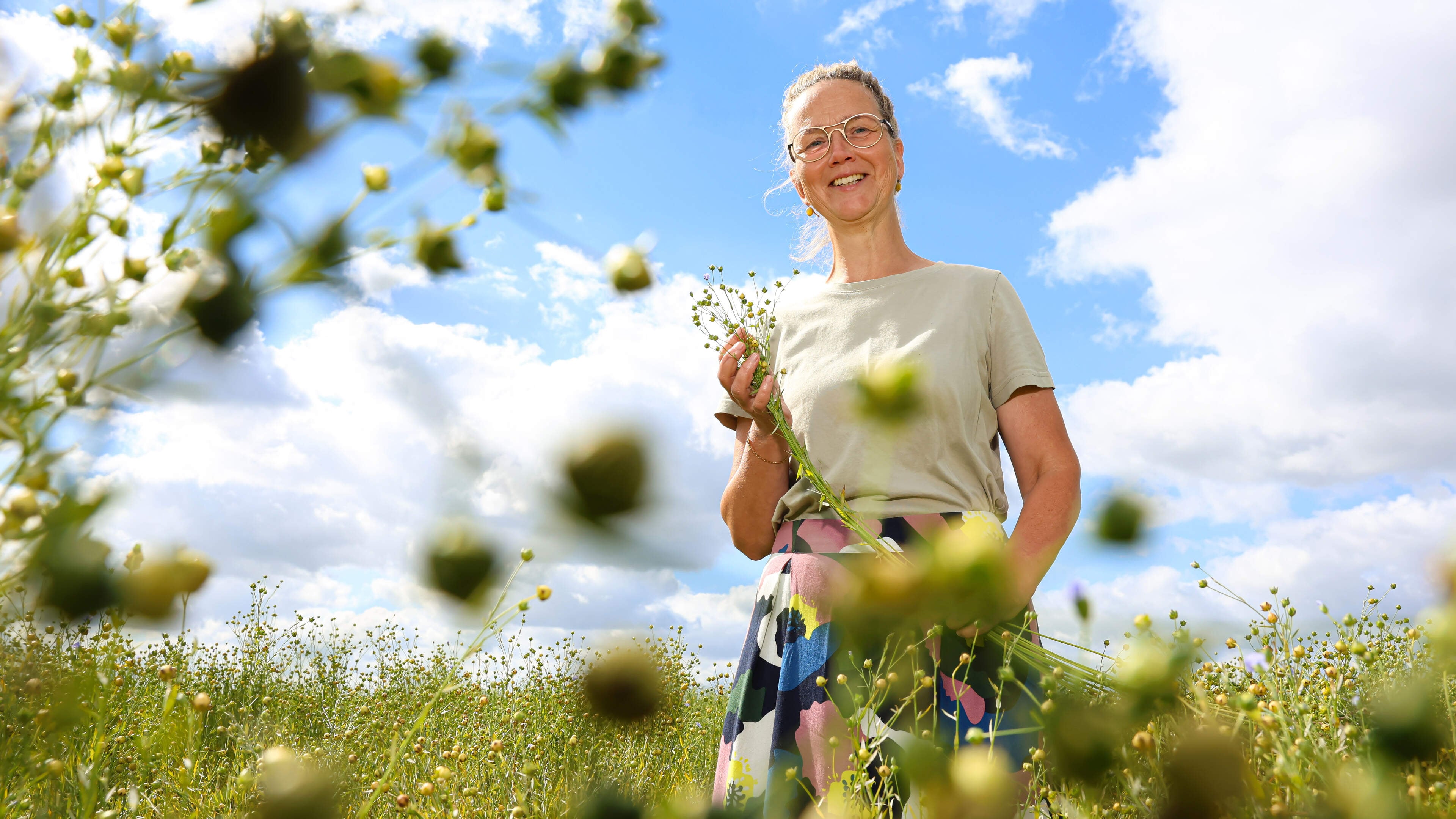 Oeroud gewas komt tot leven op polderboerderij