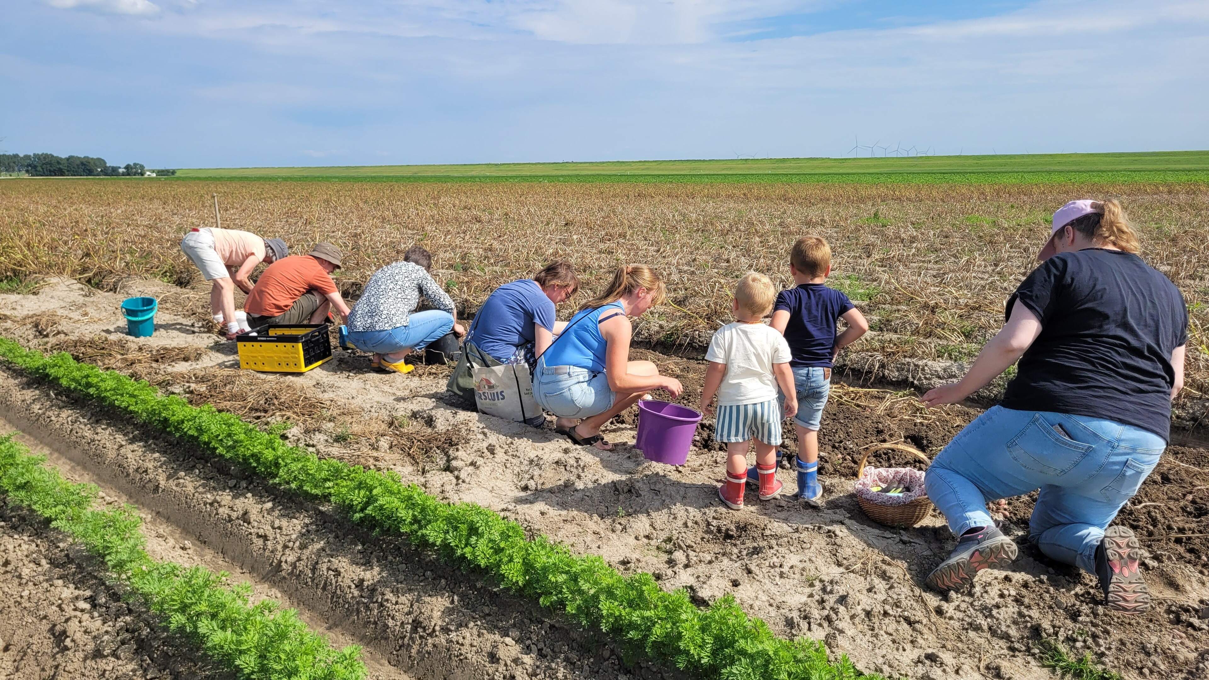 Van een schuur voor aardappels naar een veld vol consumenten