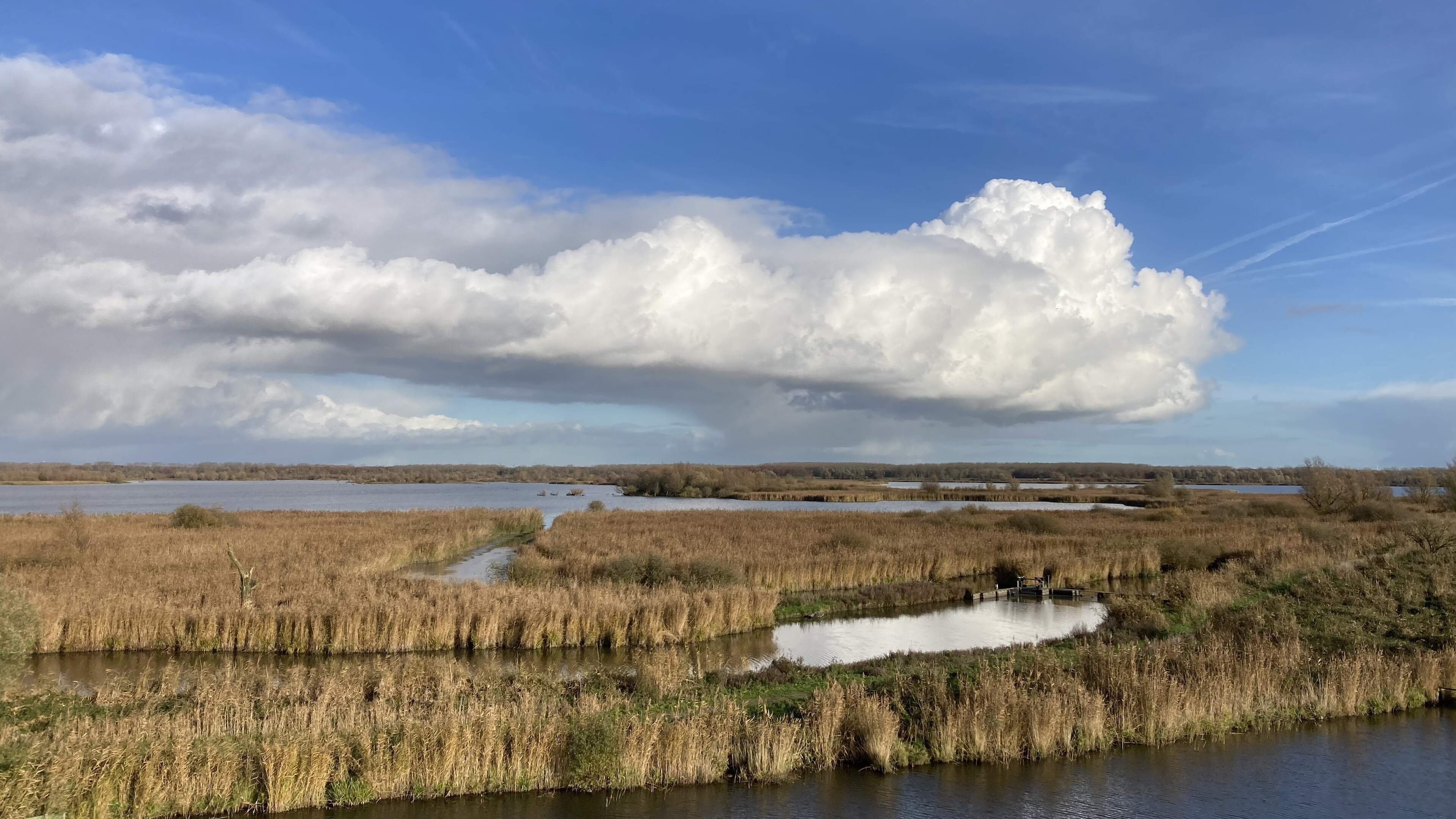 Staatsbosbeheer wil buitencentra sluiten