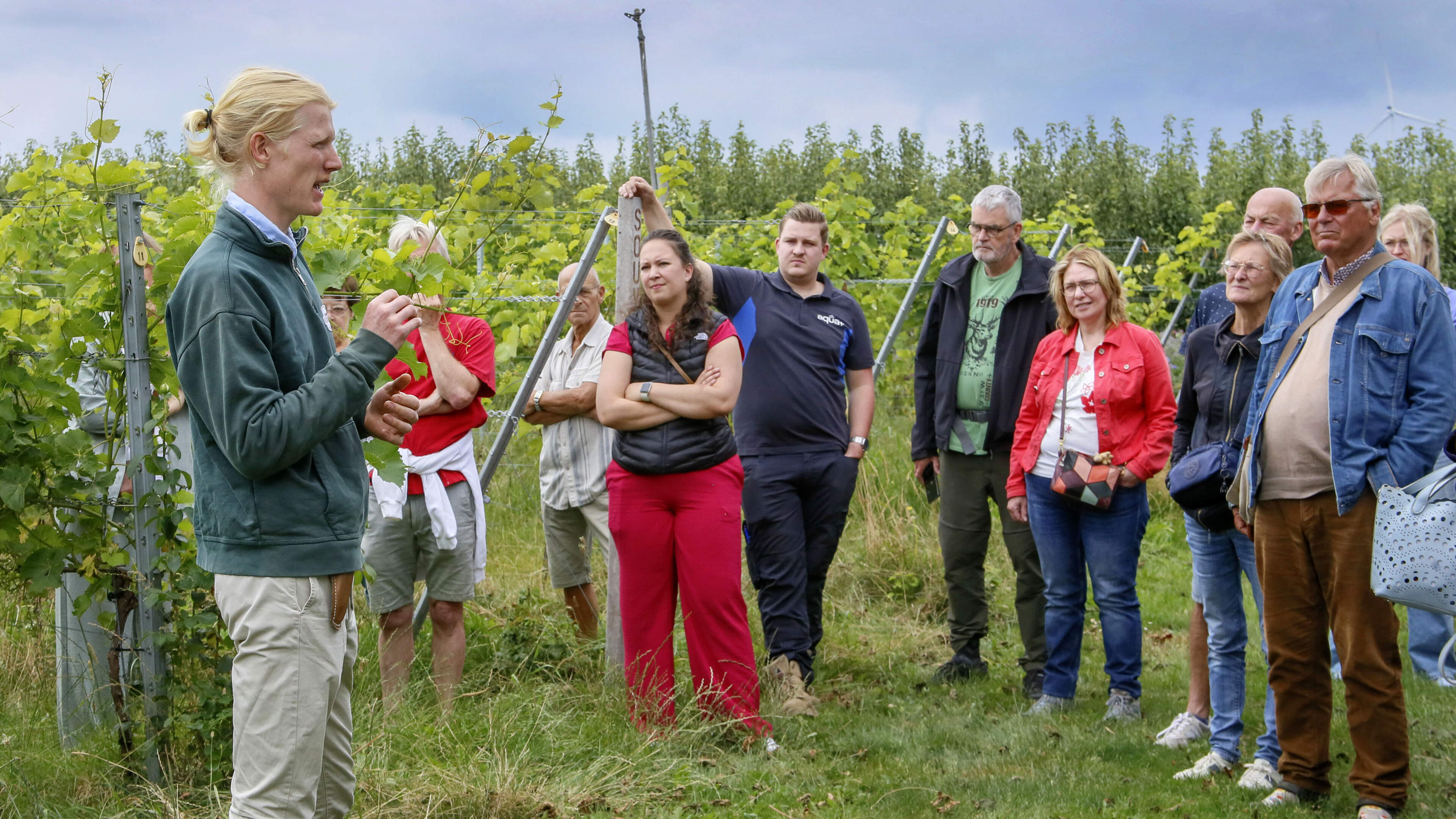 Zonnebloemen plukken en wijn proeven is zomerse combinatie
