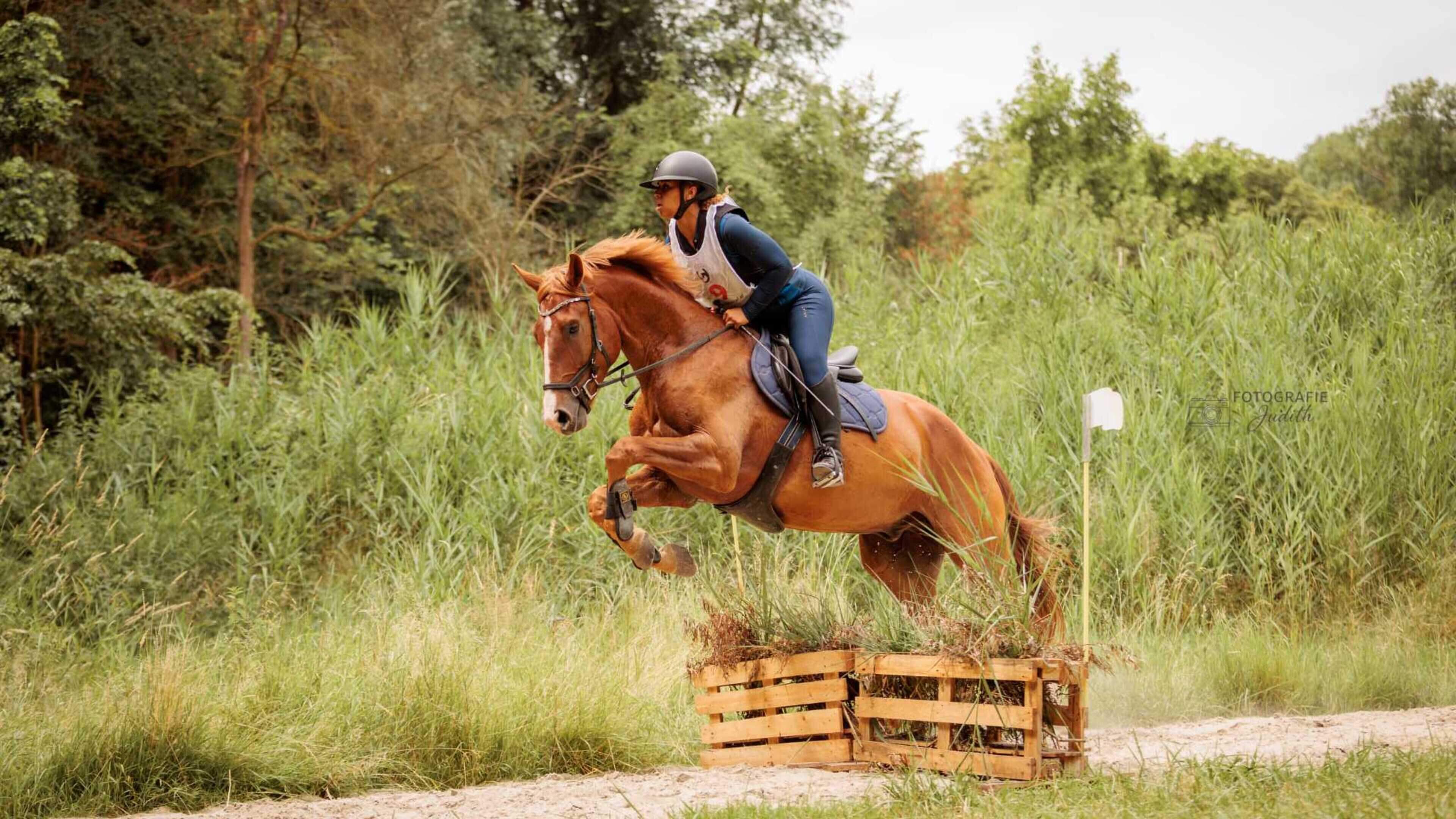Groot succes voor eerste editie Boscross Lelystad Ponyclub SKWL