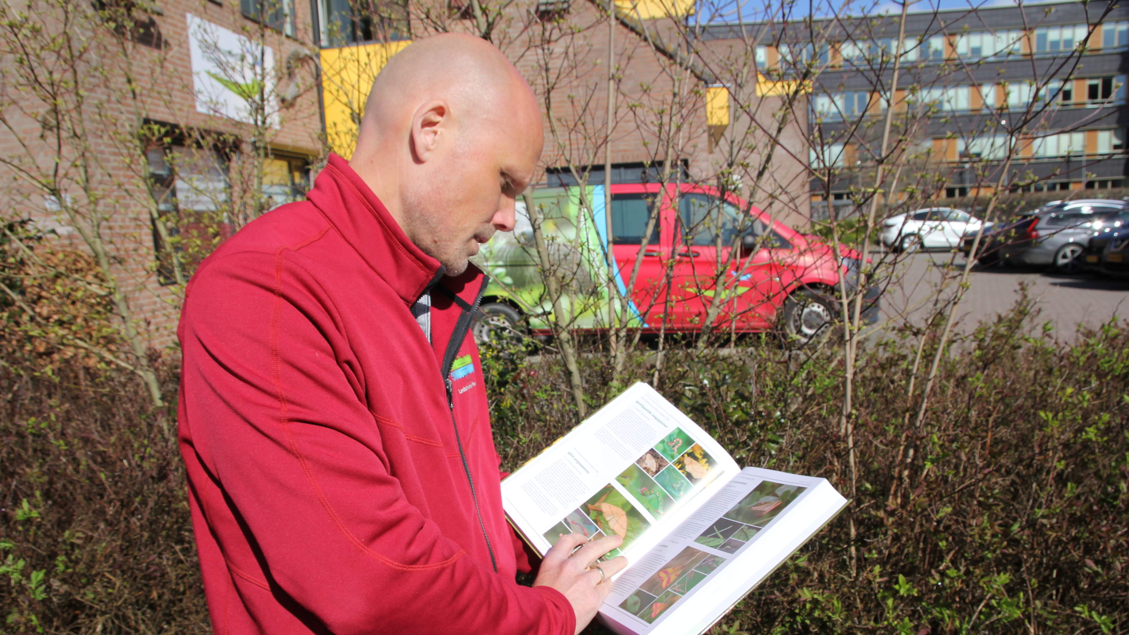 Zoek je een leuke zomeractiviteit? Doe een nachtvlindersafari in je eigen tuin