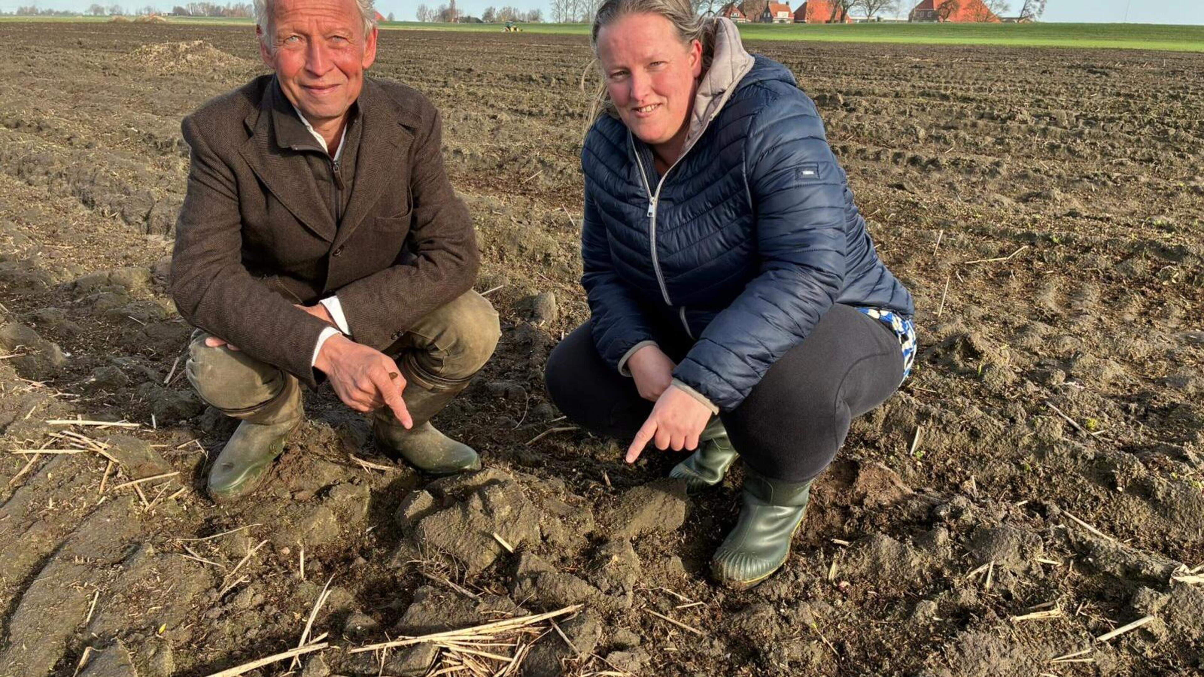 Eerste Flevolandse kievitsei gevonden aan Uiterdijkenweg bij Luttelgeest